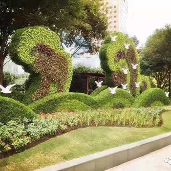 淄博五色草造型，立體景觀(guān)