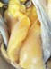 母鸡黄油母鸡吃啥能黄油鸡黄皮黄油的药