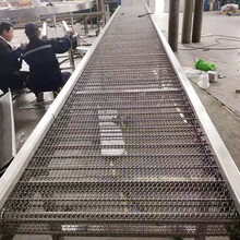 不銹鋼網鏈輸送機A江蘇不銹鋼食品網鏈輸送機廠家規格圖片