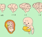 纽拜奥藻油DHA滴剂，助力宝宝大脑健康发育