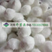 供应厦门普通纤维球改性纤维球白色毛茸茸纤维球填料生产厂家