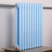 钢制暖气片散热器暖气片钢二柱6030/5025水暖家用散热器