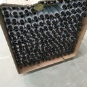 高頻焊翅片管暖氣片蒸汽散熱器鋼制翅片散熱器