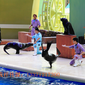 哪里有大型水母展览租赁海狮出租海洋动物联系方式