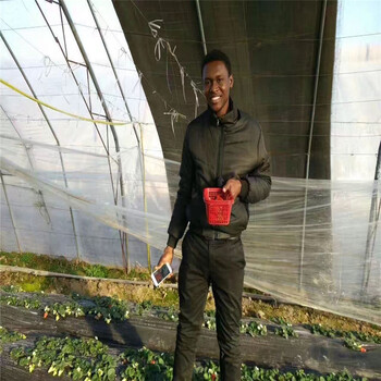 福建誠信可靠的容寶草莓苗廠家
