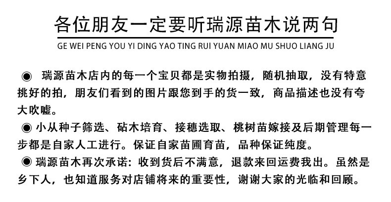 种植冬桃一亩地需投资多少钱早熟大棚黄桃品种