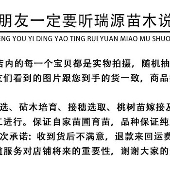 镇江黄桃有哪些晚熟品种_镇江利润大