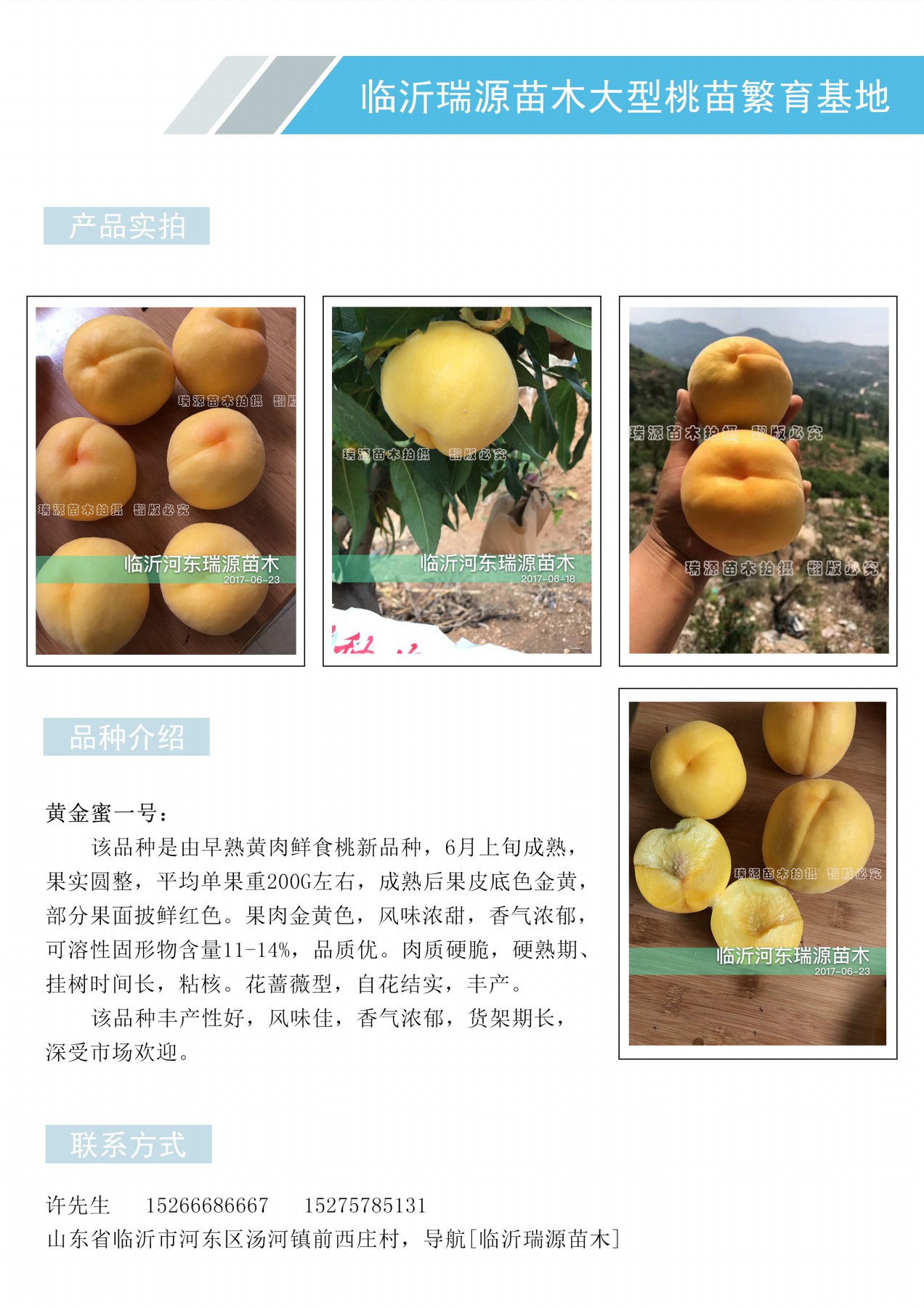 桃树的品种有哪些及特性_桃树的品种有哪些及特性介绍简介