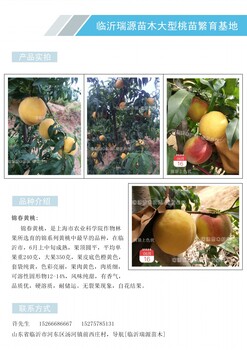 早熟黄桃新品种有哪些_早熟黄桃新品种有哪些品种特点