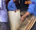 彝良縣桉木建筑模板制作工廠工藝精湛