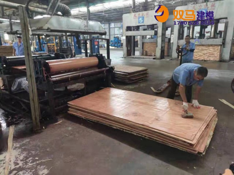 通许县桉木建筑模板哪里生产