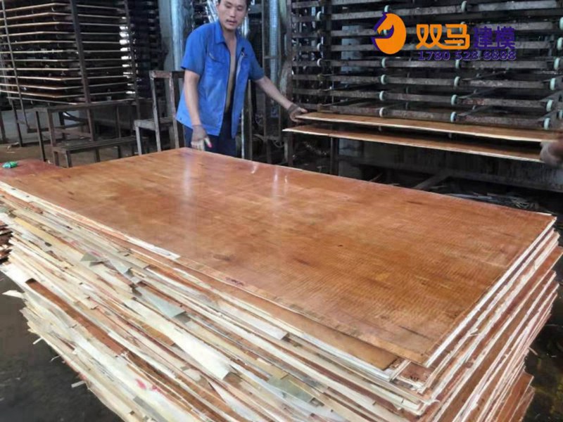 五台县桉木建筑模板制作工厂工艺