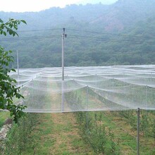 宿州地区数次啊防虫厂家价格质量