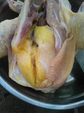 公鸡吃什么可以长冠头长黄油