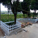  Customized Beijing road greening fence, flower bed fence, tree pool fence, PVC lawn fence