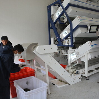 广州花都回收食品厂设备不分品牌