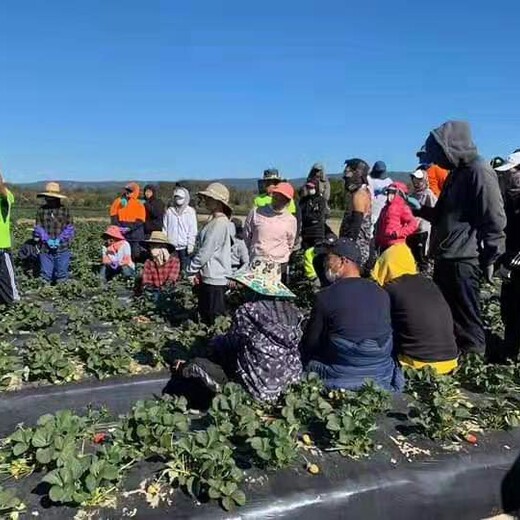 丰台无技术出国打工正规出国劳务