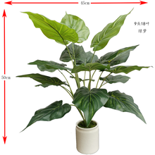 仿真植物盆景盆栽万年青塑胶大叶子绿植摆件绿化工程造景装饰