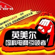 自制牛饲料配方V肉牛催肥绝招--福利多多图片