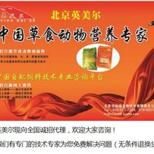牛吃什么上膘最快V黄牛催肥办法--福利多多图片