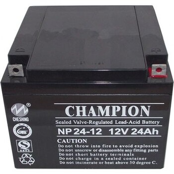 新疆乌鲁木齐经销商代理蓄电池12V38AHNP38-12UPS/EPS/直流屏原装