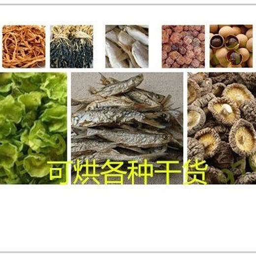 小型烘干机行情价格