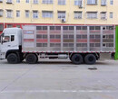 温州畜禽运输车的价格图片