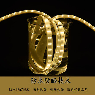 上海LED灯带批发零售上海那有灯带卖灯带多少钱一米图片2