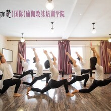 沈阳瑜伽教练机构-瑜伽教练考证学院-行业通用