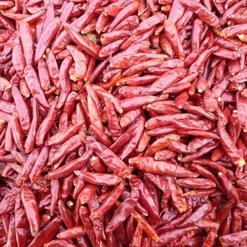 一篇文章让你了解印度辣椒干的进口报关流程