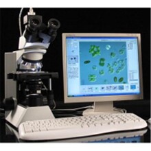 GX-S200型藻类智能鉴定计数仪，丝状、链状藻类的观察仪