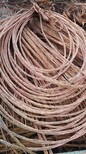 阳泉电缆回收-铝绞线回收-（实时价格）当地价格图片5