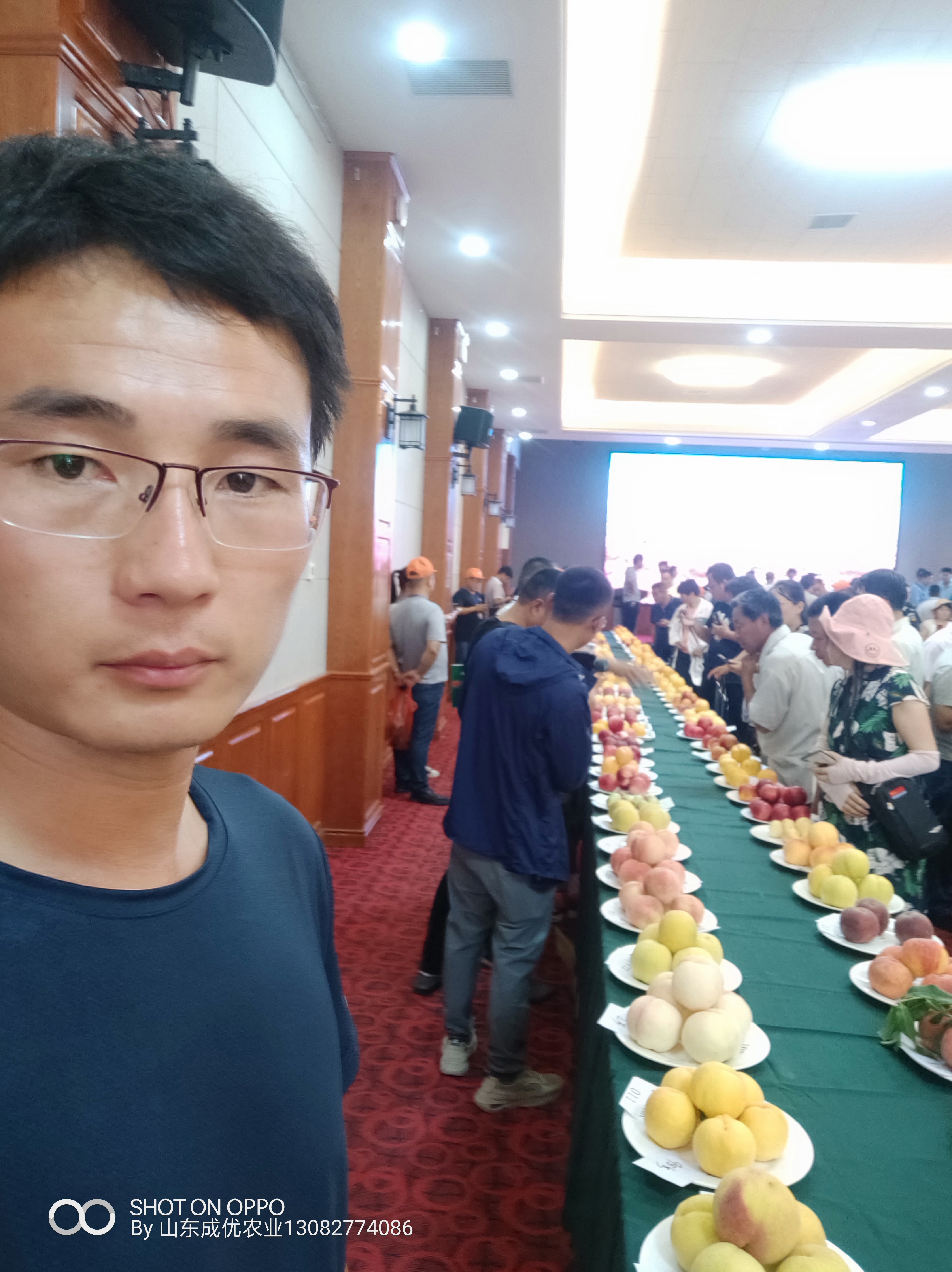 李子苗出售 四川青脆李子苗2公分李子苗