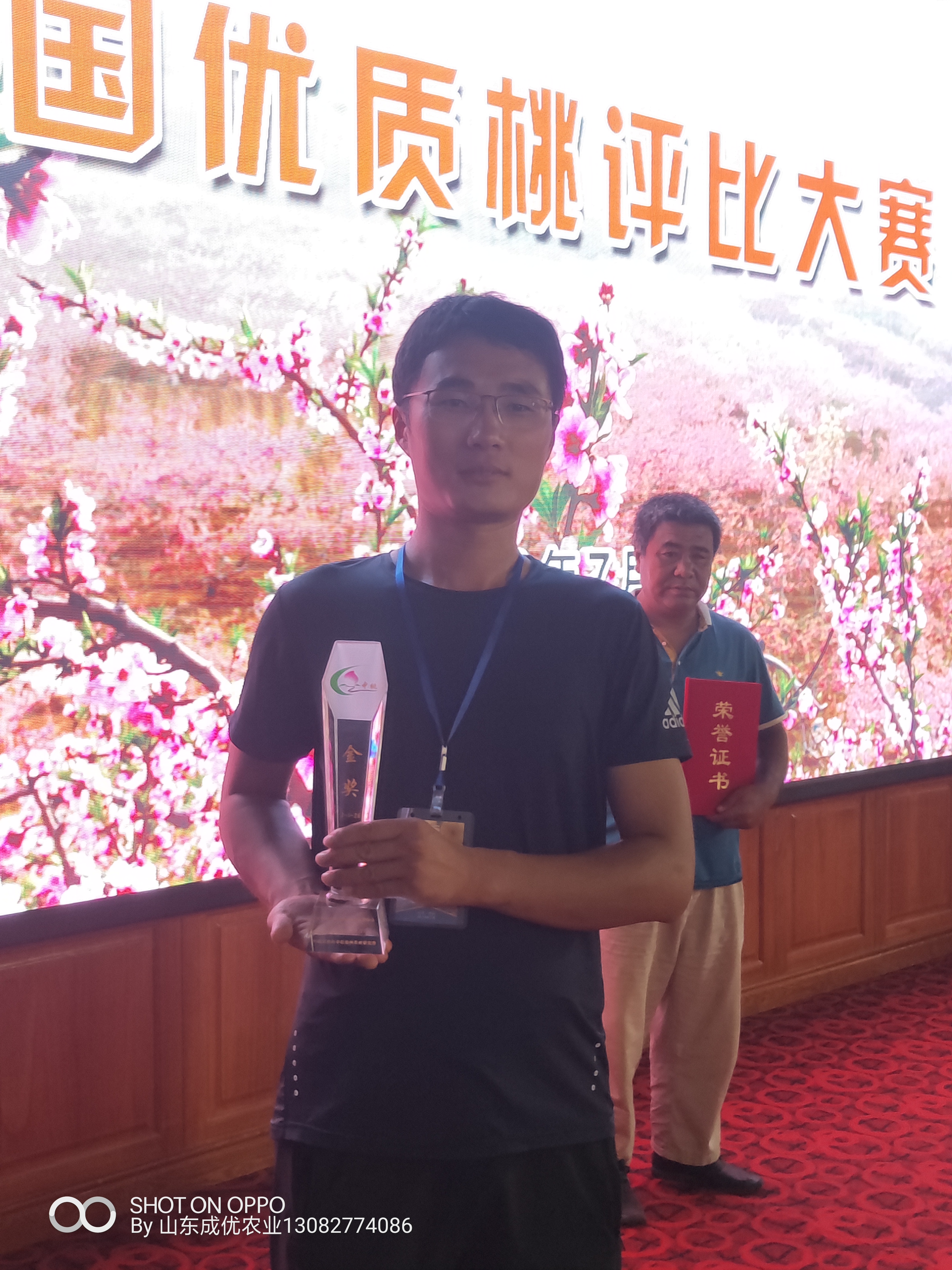 哪里出售李子苗 進(jìn)口李子苗供應(yīng)商李子苗