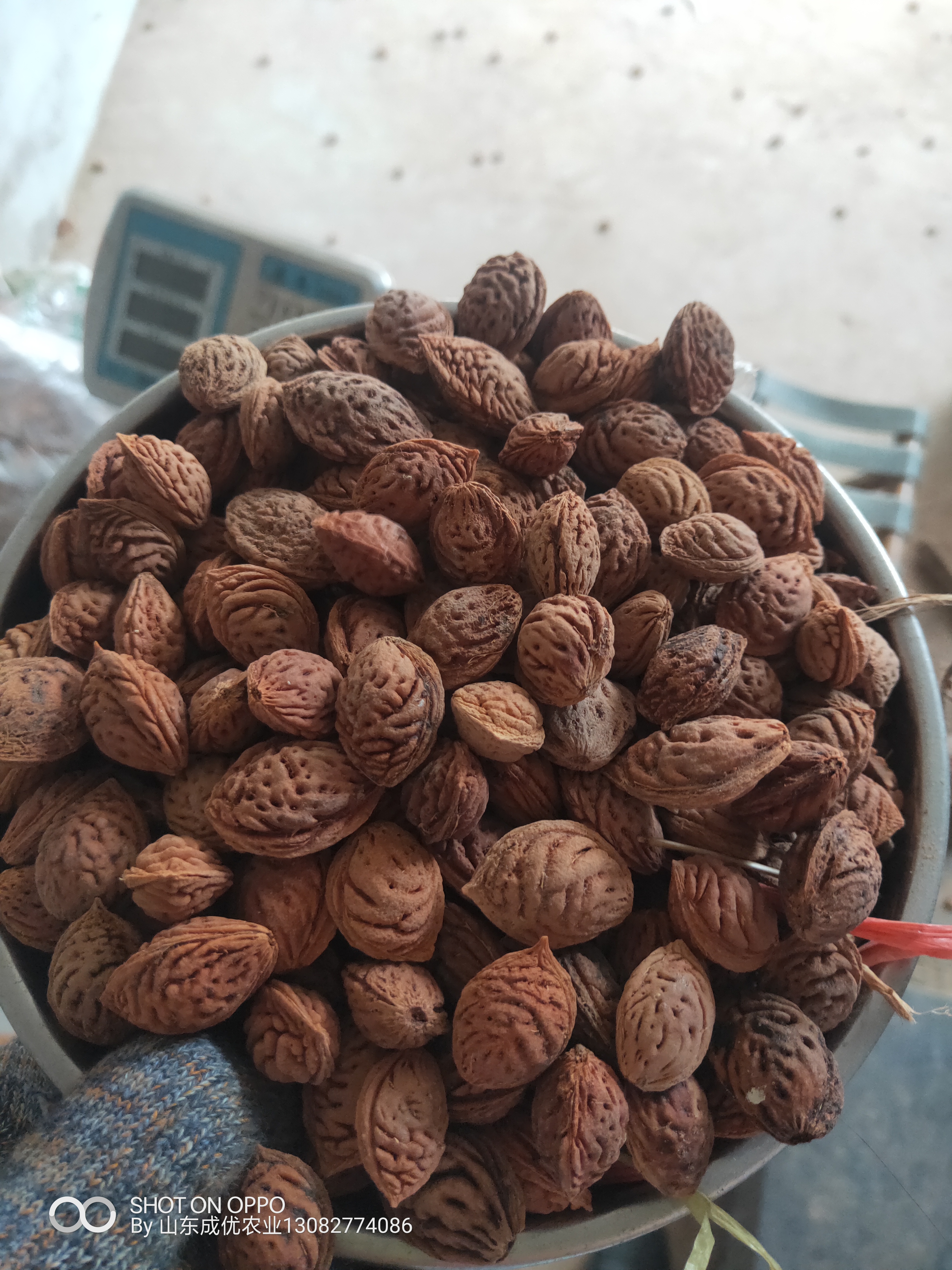 哪里賣(mài)桃種子 大櫻桃種子怎么發(fā)芽