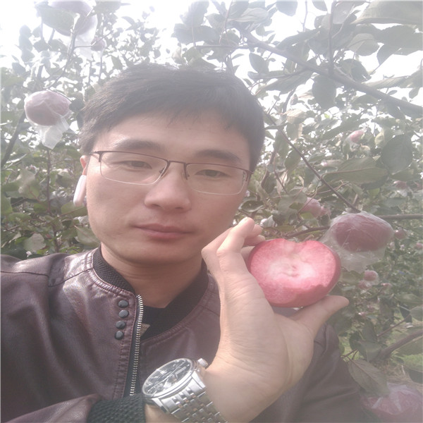 蘋(píng)果樹(shù)苗 求購(gòu)蘋(píng)果樹(shù)苗新品種