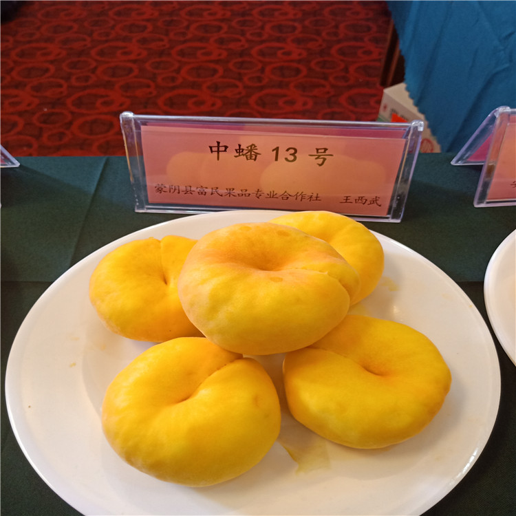 哪里有蘋果苗-蘋果樹苗哪里出售-3-5公分蘋果樹