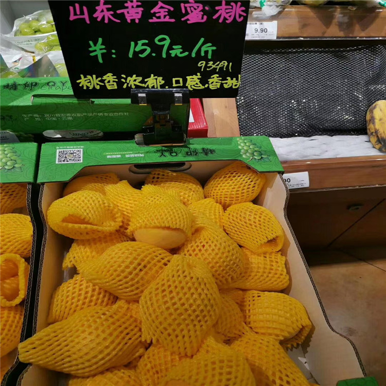 哪里有梨樹苗新品種-晚秋黃梨樹苗多少錢