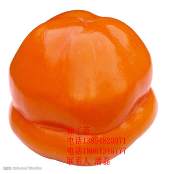2019年柿子樹(shù)苗新品種、柿子樹(shù)樹(shù)苗新品種、柿子樹(shù)苗價(jià)格多少