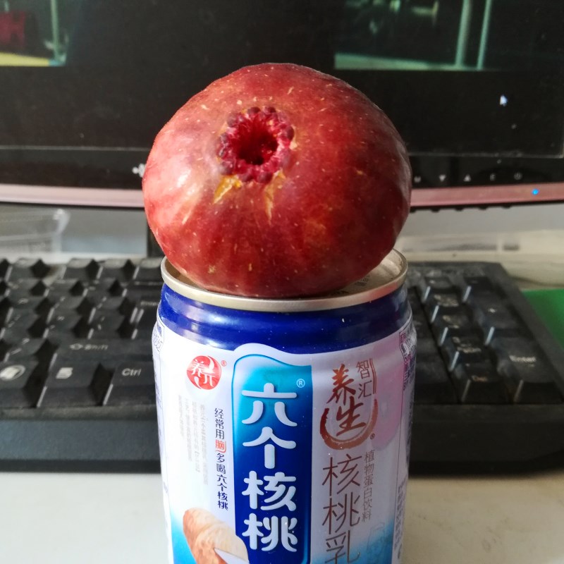 农户大青皮无花果小苗多少钱一棵