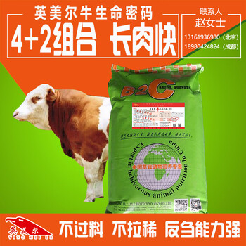 育肥肉牛的佳出欄時間你知道嗎？肉?？焖俅叻?>
                        </div>
                        <div   class=