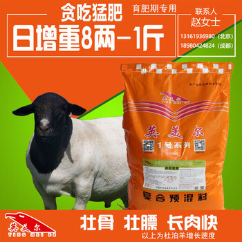 四川地區(qū)育肥羊怎么喂長(zhǎng)得快防止羊長(zhǎng)黃膘肉--貪吃猛肥