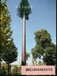 仿生塔定制20米仿生树铁塔制造仿生避雷塔