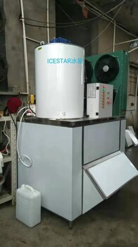 中型片冰机10吨