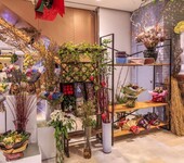 郑州鲜花店装修设计,如何在众店中脱颖而出