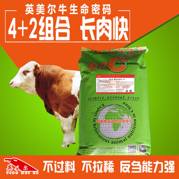 育肥牛怎么喂長驃快？育肥牛如何選擇飼料？牛飼料配方？英美爾牛生命密碼