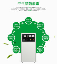 30g空气源臭氧发生器消毒机臭氧设备污水处理杀菌脱色除臭图片