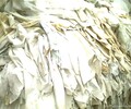 江苏省盐城市回收夏装厂白t恤，夏装厂、统货厂的被单布等