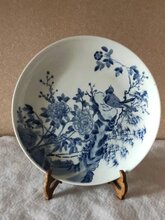 家里有藏品真品免费上拍卖图片