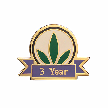 金屬司徽定制會議佩戴胸針集團(tuán)LOGO徽章訂制廠